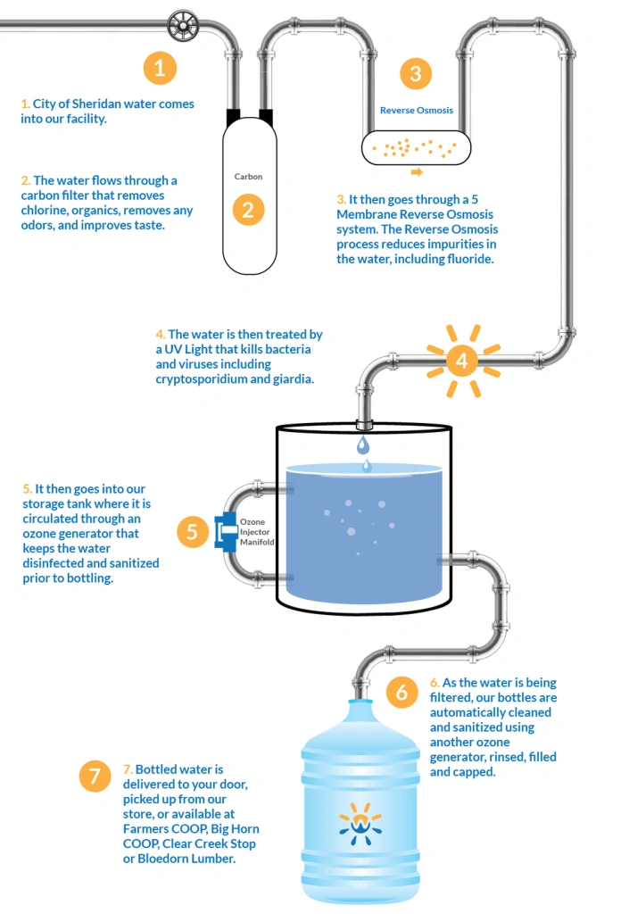 water bottling process info graphic educational image